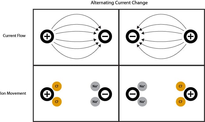2-cell conductivity electrode conceptual diagram 2-cell conductivity electrode conceptual diagram
