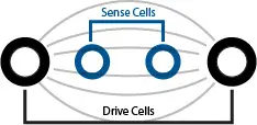 4-cell electrode diagram