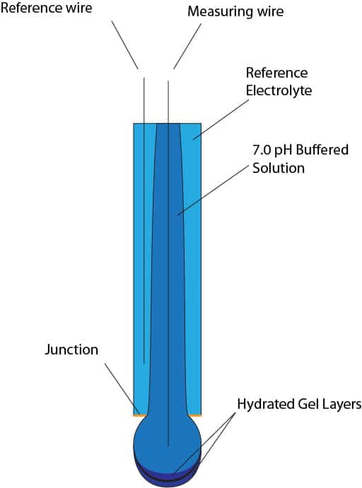 Labeled pH Electrode anatomy Labeled pH Electrode anatomy