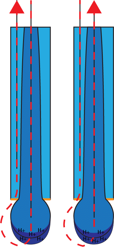 pH electrode current flow pH electrode current flow