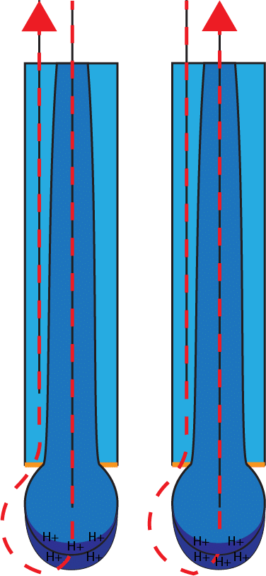 pH electrode current flow