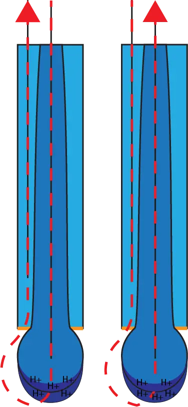 pH electrode current flow