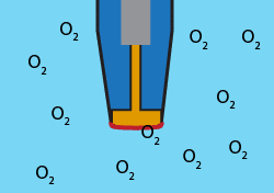Dissolved Oxygen Electrode Anatomy Thumbnail Optical Dissolved Oxygen Sensor Anatomy