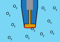 Optical Dissolved Oxygen Sensor Anatomy