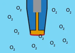 Optical Dissolved Oxygen Sensor Anatomy