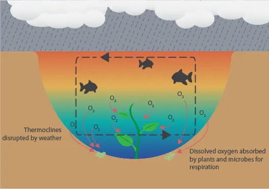 How weather affects dissolved oxygen levels part 2
