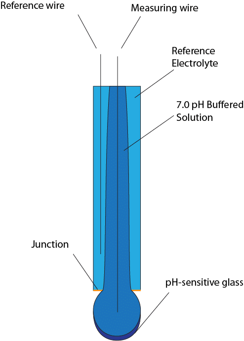 Labeled pH Electrode anatomy