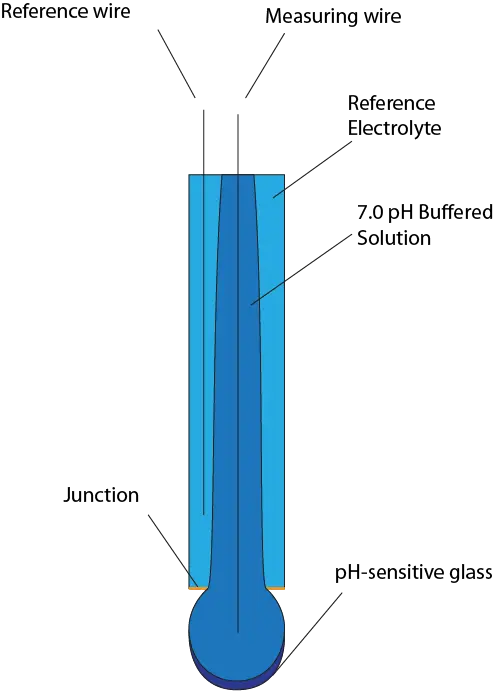 Labeled pH Electrode anatomy