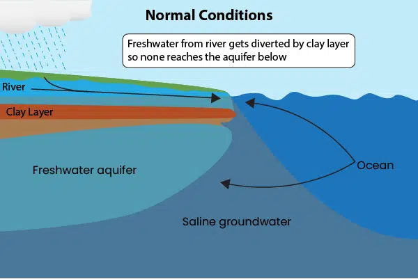 saltwater intrusion normal conditions - clay