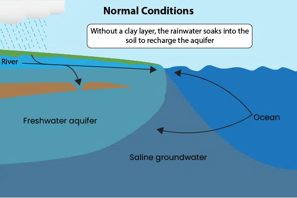 saltwater intrusion normal conditions - no clay