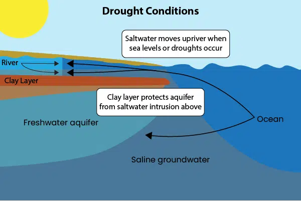 Saltwater intrusion Drought conditions - clay