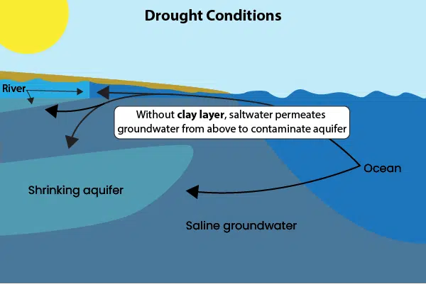 Saltwater intrusion Drought conditions - no clay