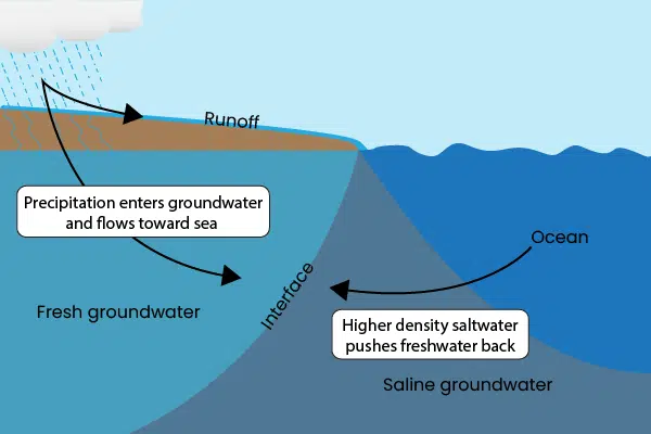 Saltwater intrusion forces