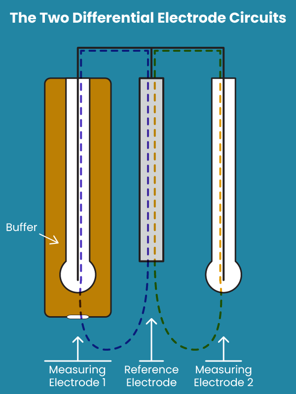 Differential Electrode Circuit Pathway