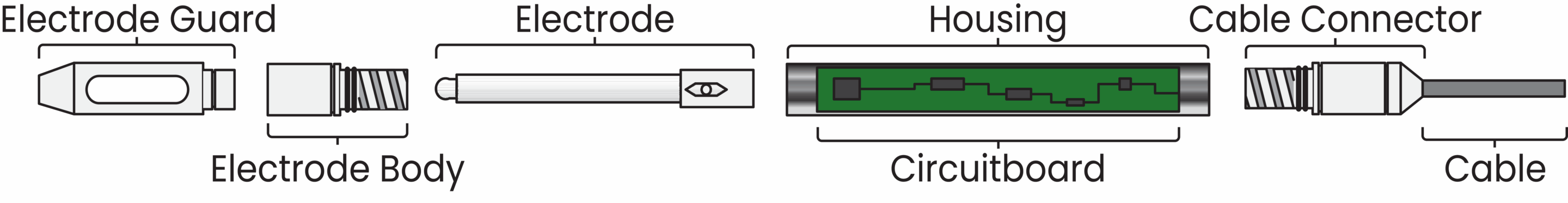 STs Series Anatomy Labeled